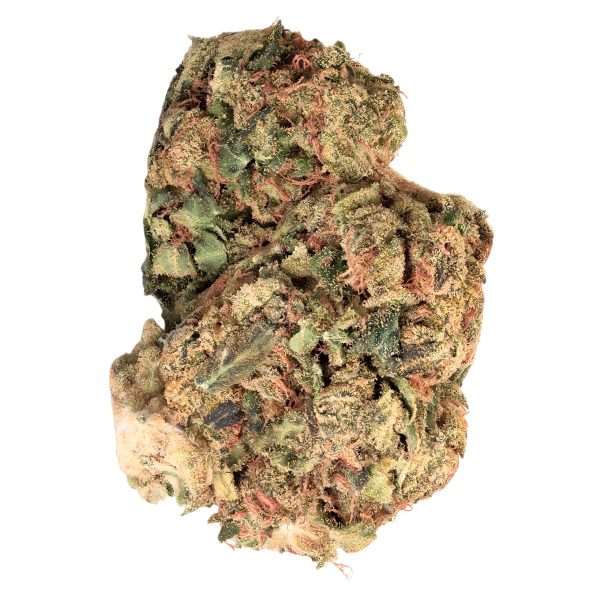 IMC THC 22 T01 – Hindu KUSH