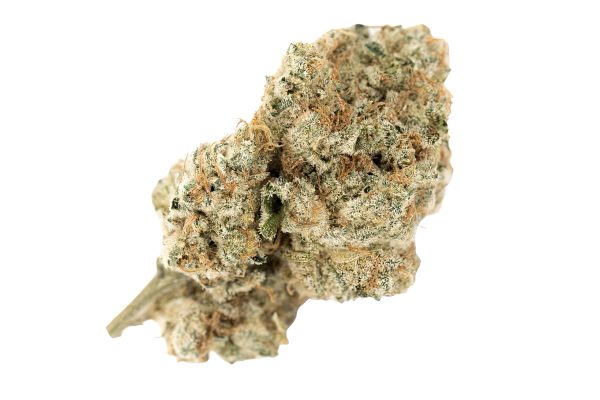 DEMECAN Craft Walkie Talkie 31:01 Sugar Cake