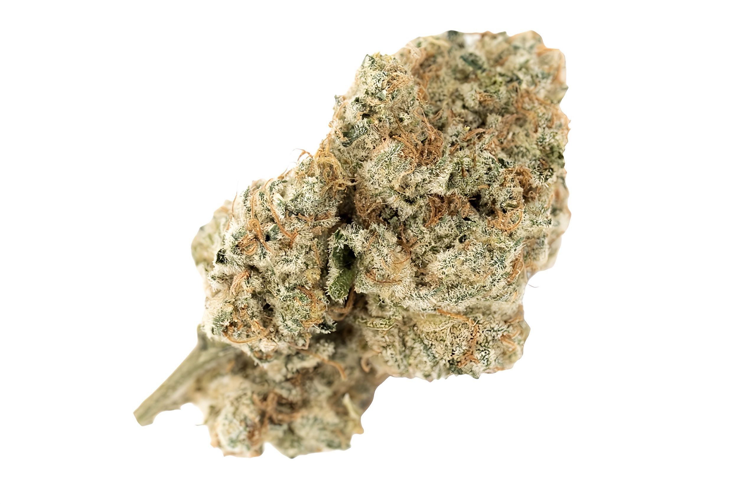 DEMECAN Craft Walkie Talkie 31:01 Sugar Cake