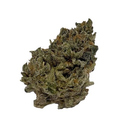 Nimbus easy 20/1 Gelato