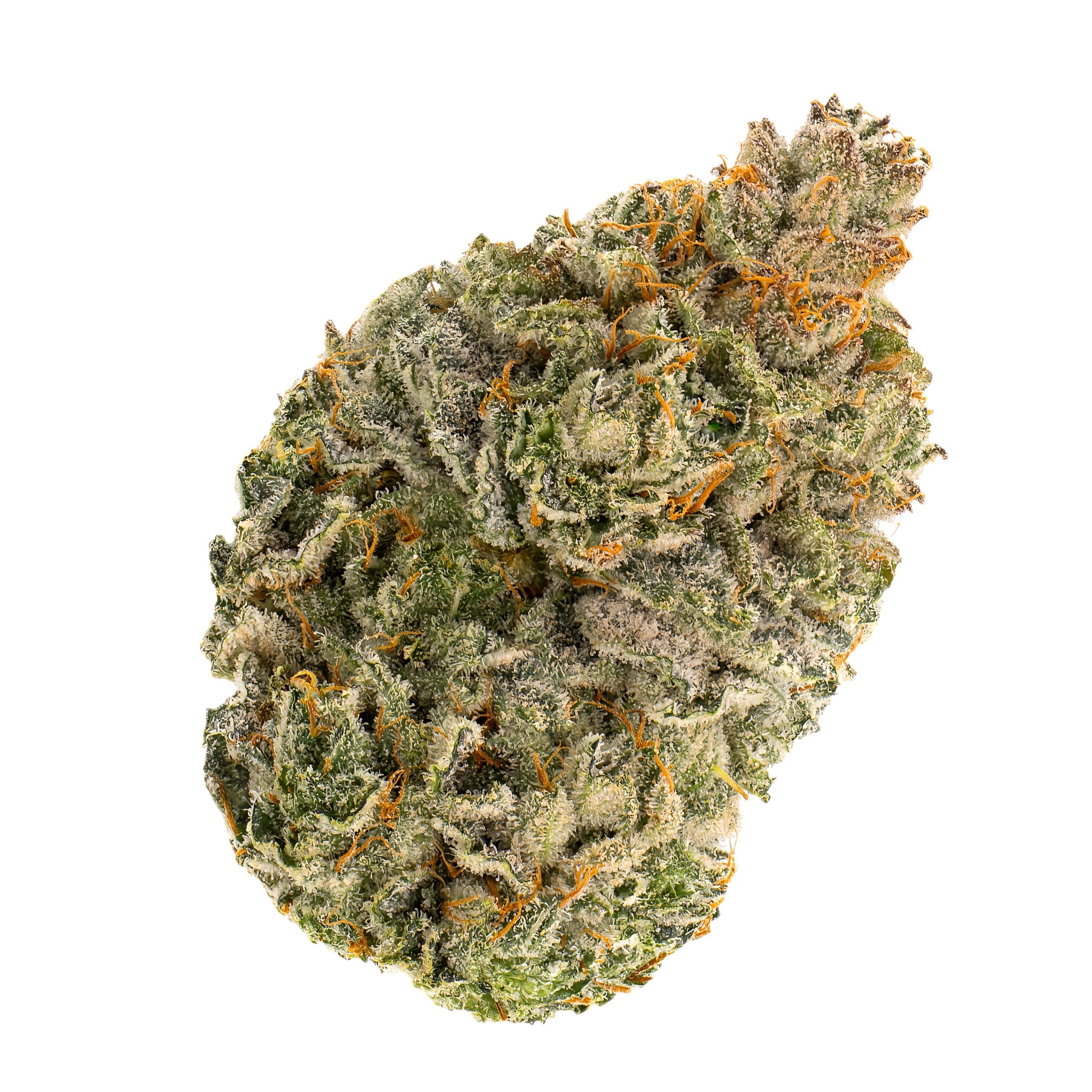 Wellford Aquaponic 23/1 PIK Pink Kush