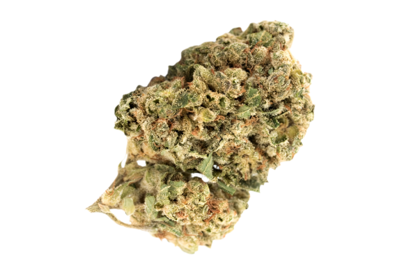 Madrecan 21/1 Mac Driver