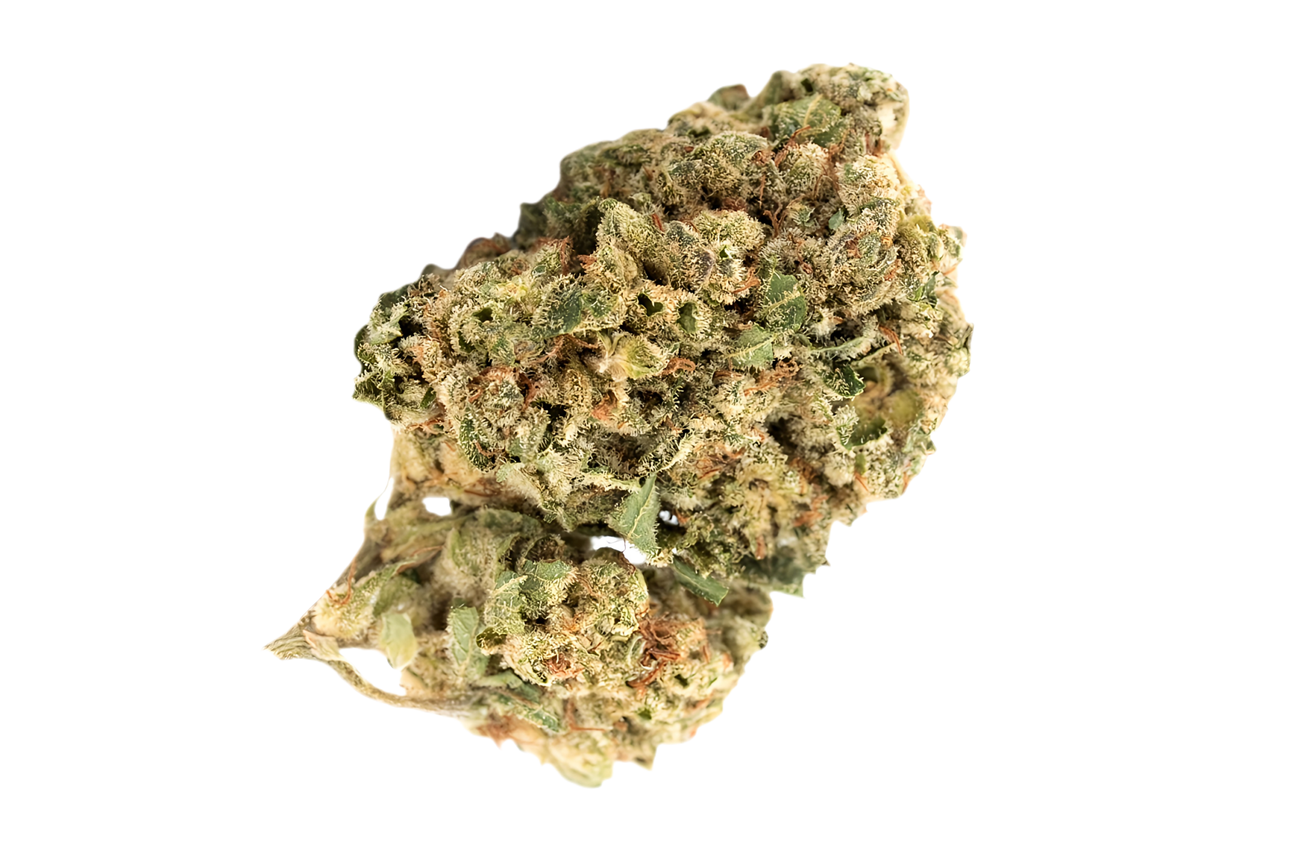 Madrecan 21/1 Mac Driver