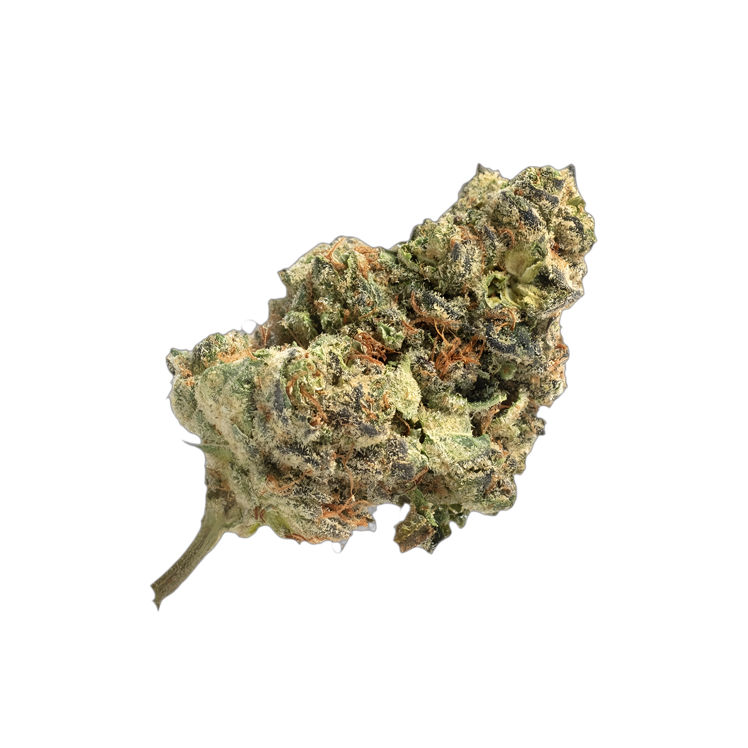 Madrecan 24/1 HiFi 4G