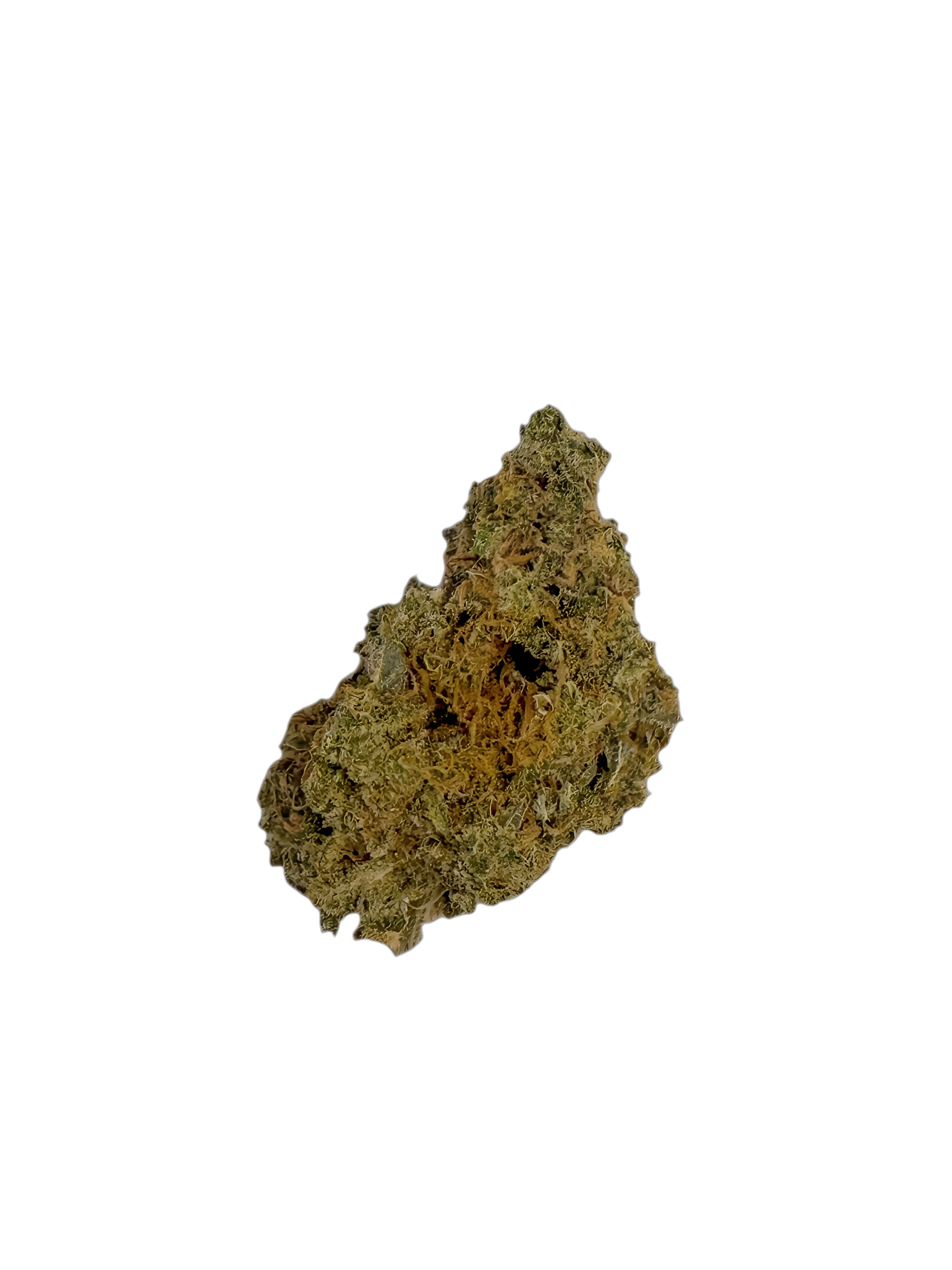 CNBS OCM 23/1 Orange Cookie Mac