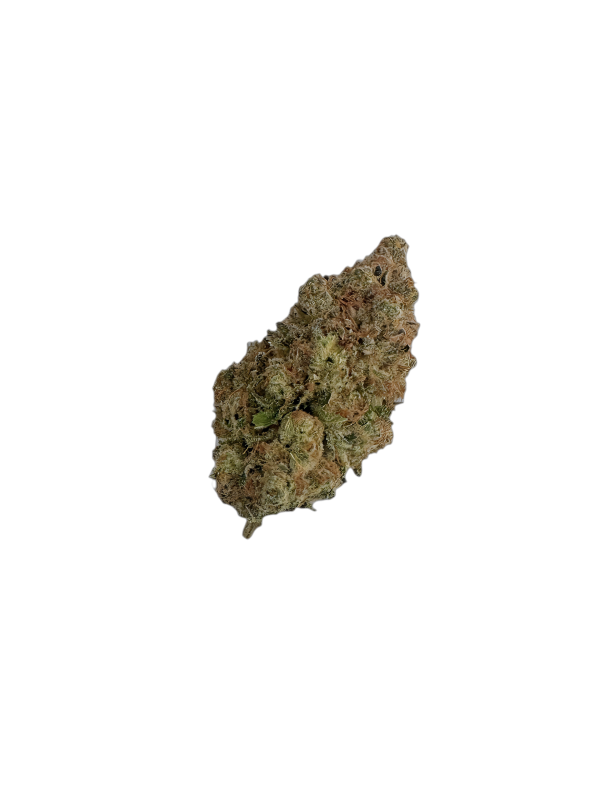 Enua 22/1 BNM CA Banana Mints