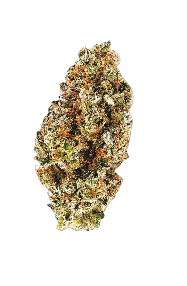 CNBS BTY GP 30/1 Better Than Your Gary Payton