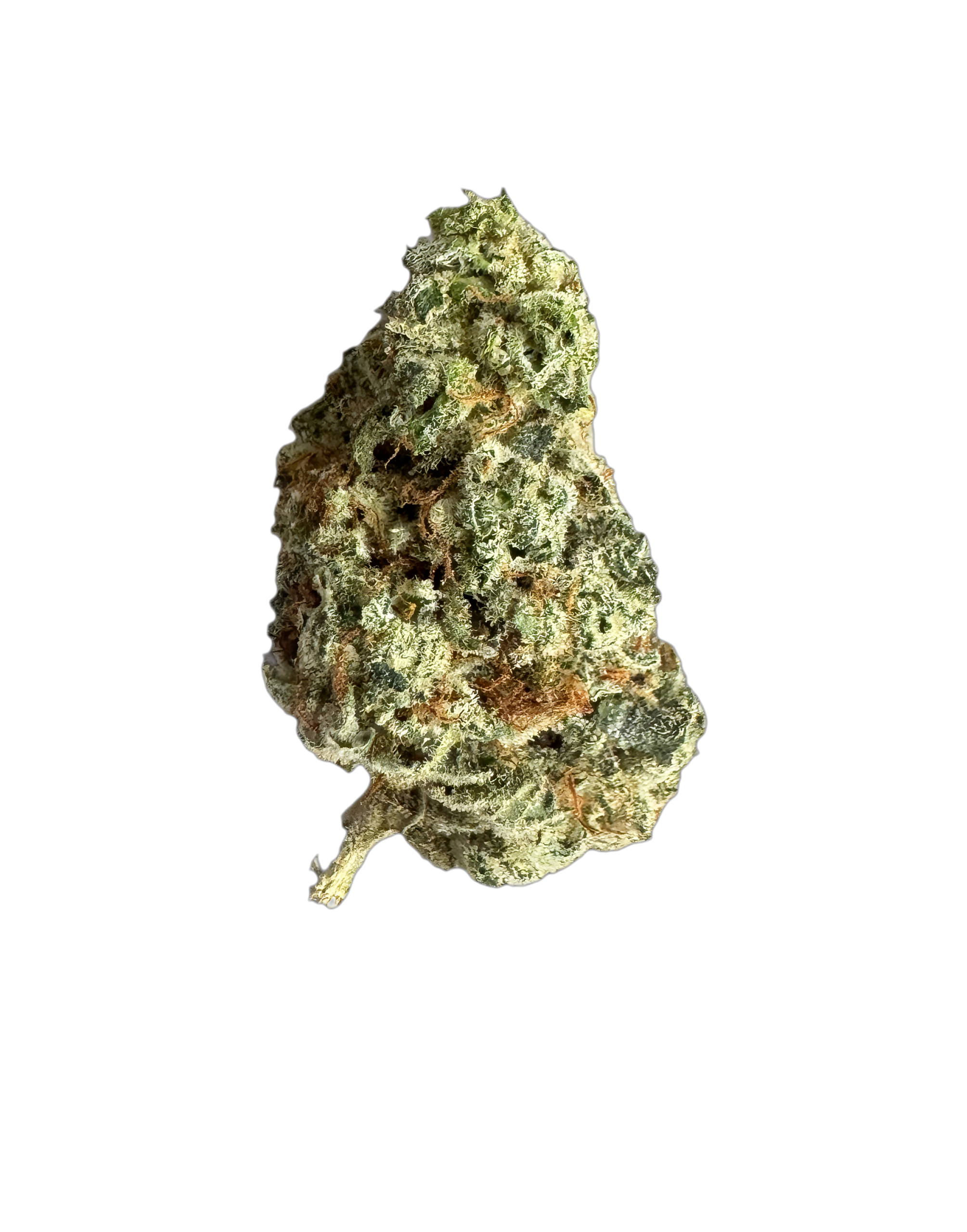 IMC THC27 T03 GG4 Gorilla Glue