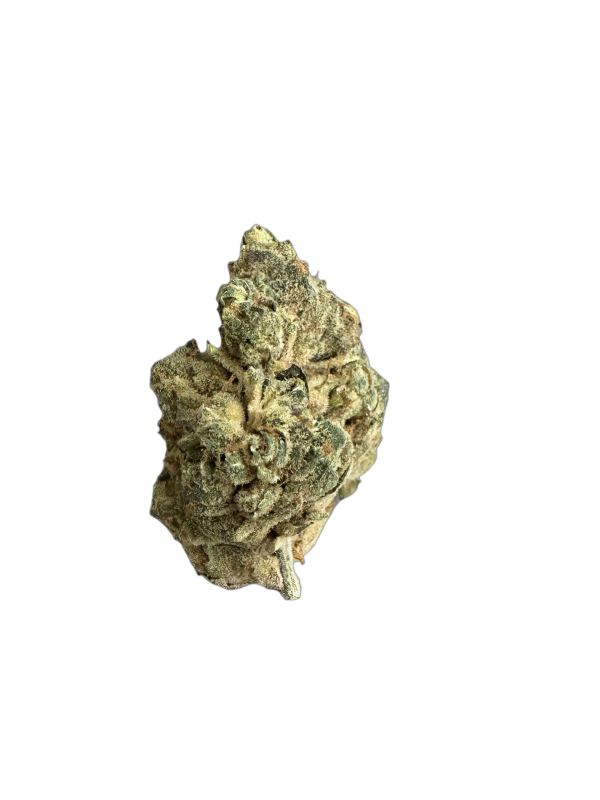 BC Green 27/1 HGH – GMO x Bruce Banner 2.0