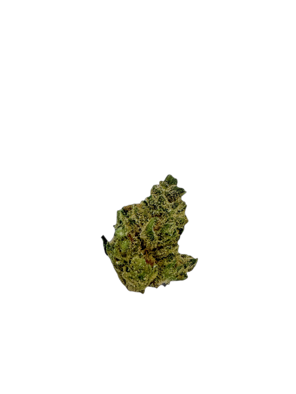 Madrecan 24/1 Skywalker