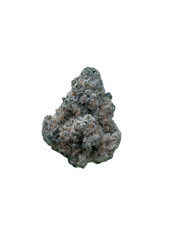 Avaay 29/1 SCP Sour Cherry Punch