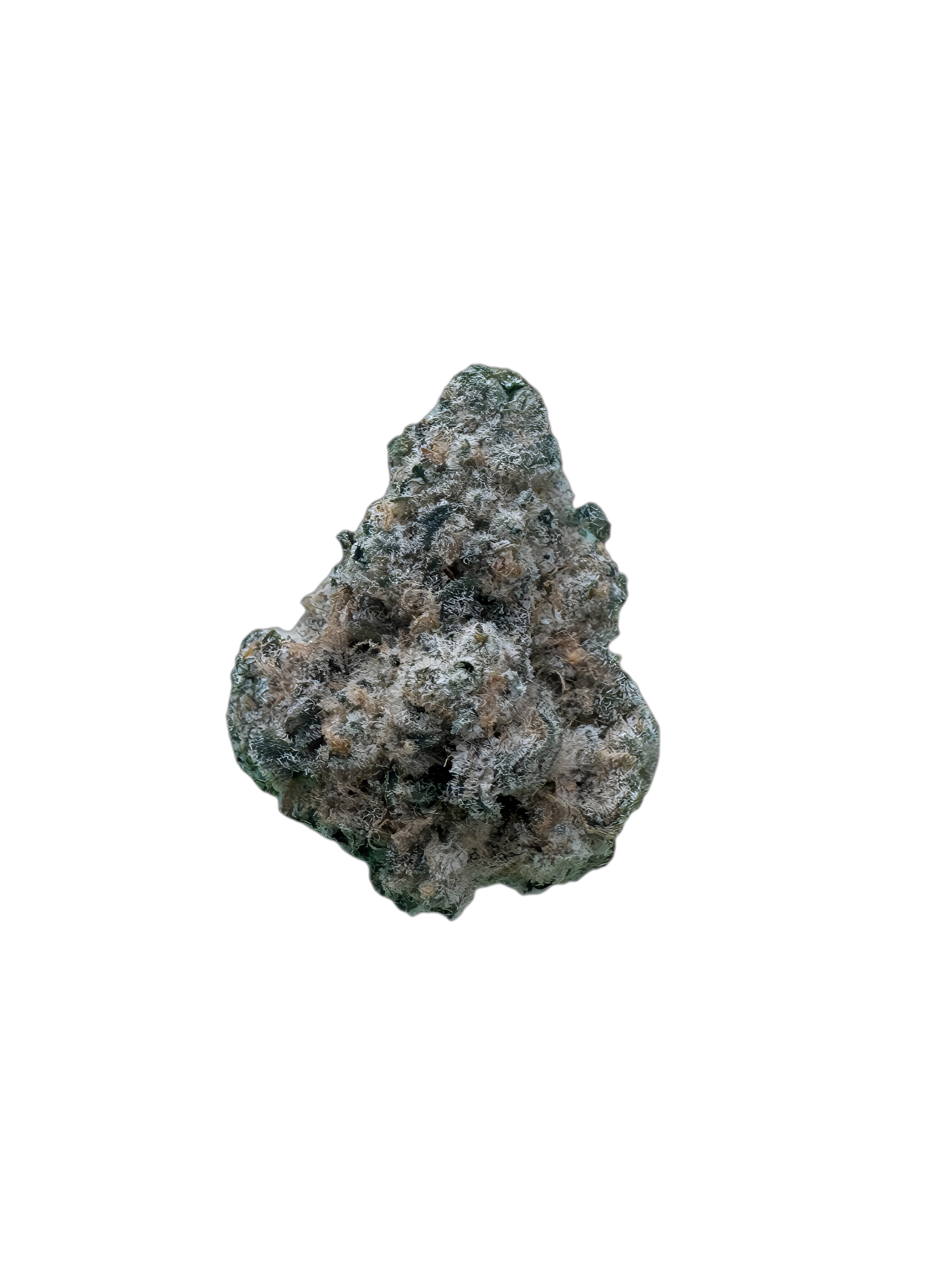 Avaay 29/1 SCP Sour Cherry Punch