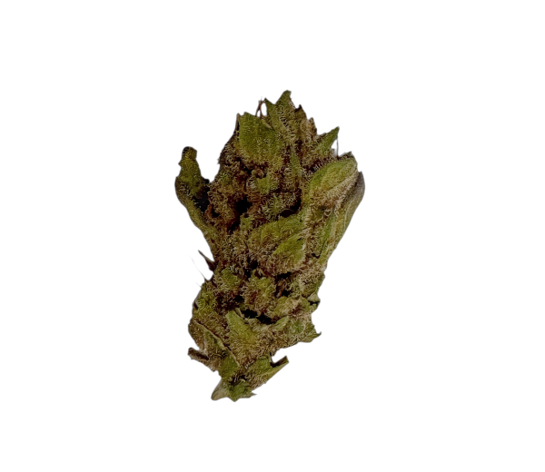 Social Choice 15/1 AUR LDO Lemon Diamond OG