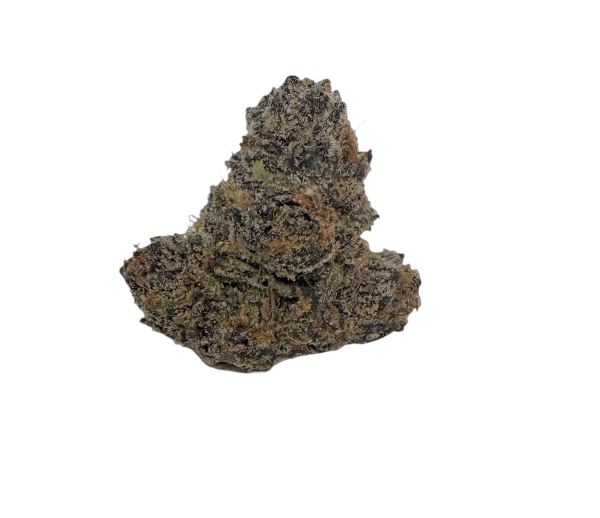 420 Compound 30/1 GAP Gastro Pop