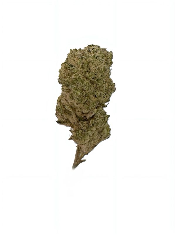 Tannenbusch 31/1 TF Tubitti Frubitti (THC 32,03%)