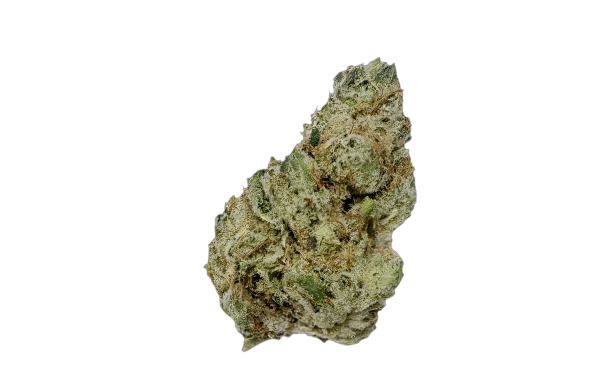 Avaay Signature 34/1 OGC Ocean Grown Cookies