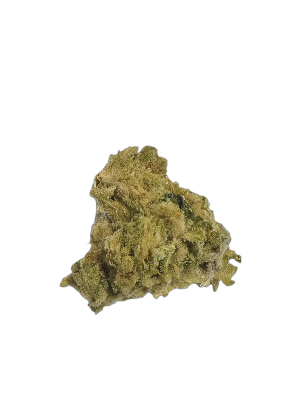 IMC THC 22 T05 Somango Skunk