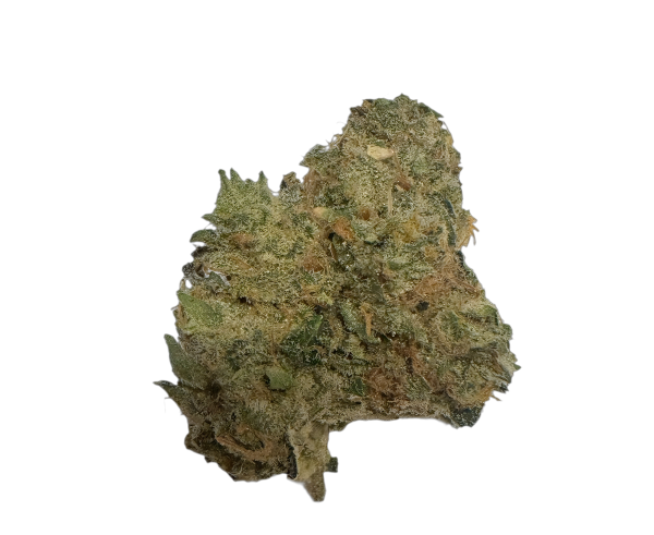 Bathera 28/1 BZ Blue Z