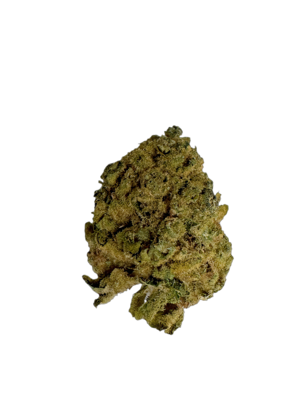 Remexian 25/1 BPD Big Purple Dragon
