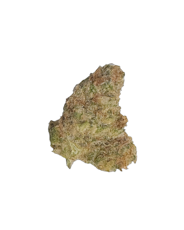 HiSociety 30/1 NLL OKDK XX
