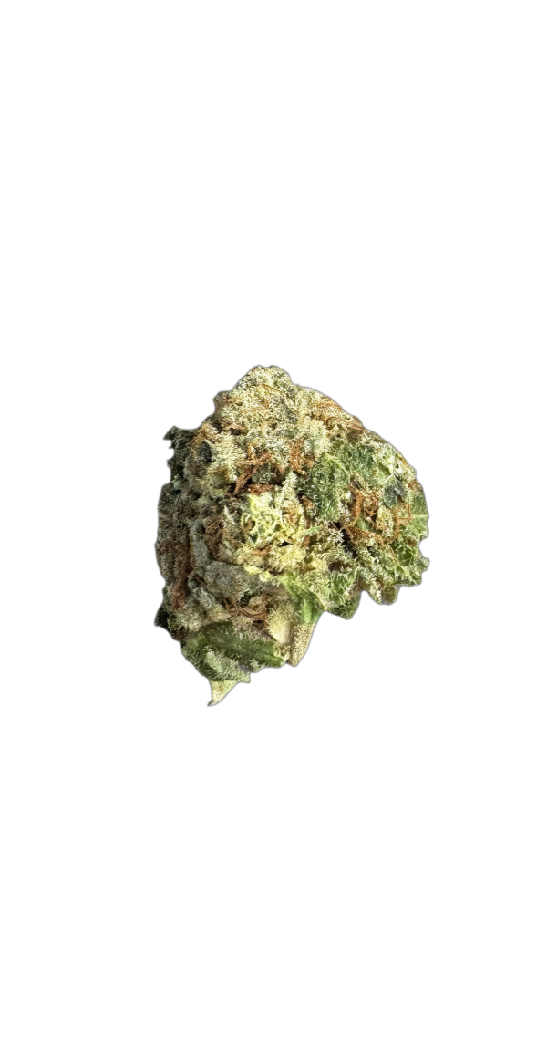 Madrecan 21/1 GB9 Garlic Budder