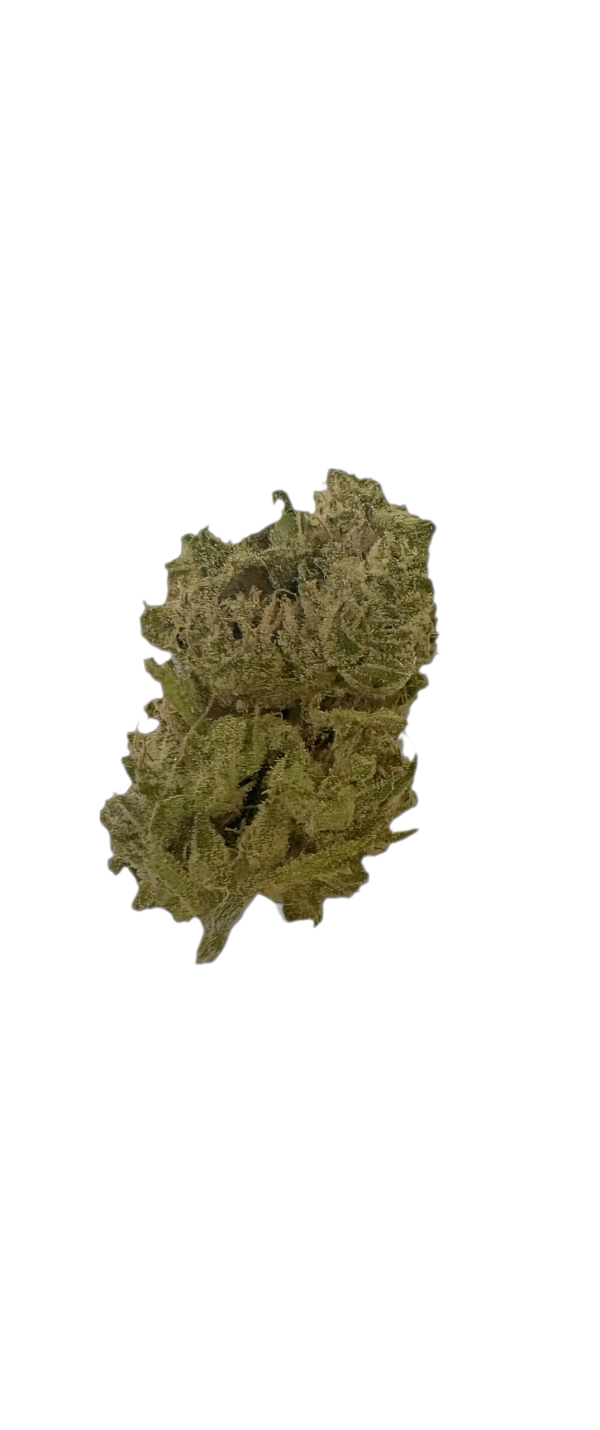 Wellju Cannabis flos DOSIDOS 25/1 (THC: 26,5%)