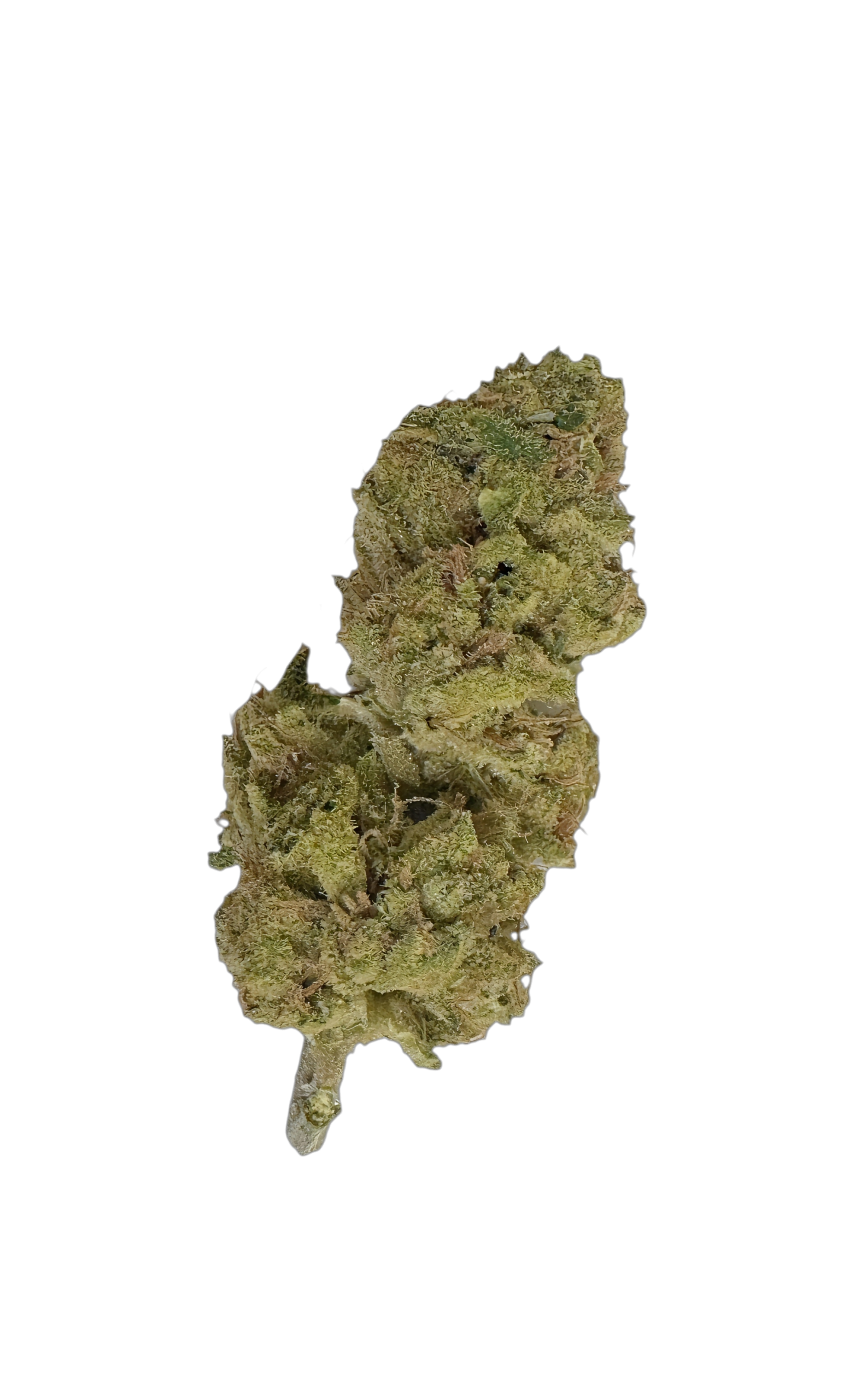 Drapalin 27/1 Full Gas - Mandarin Sunset x Ethos Cookies