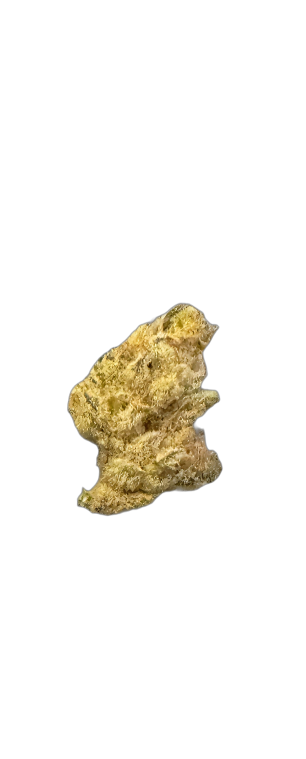 Remexian 21/1 RAS ALB Astral Berry