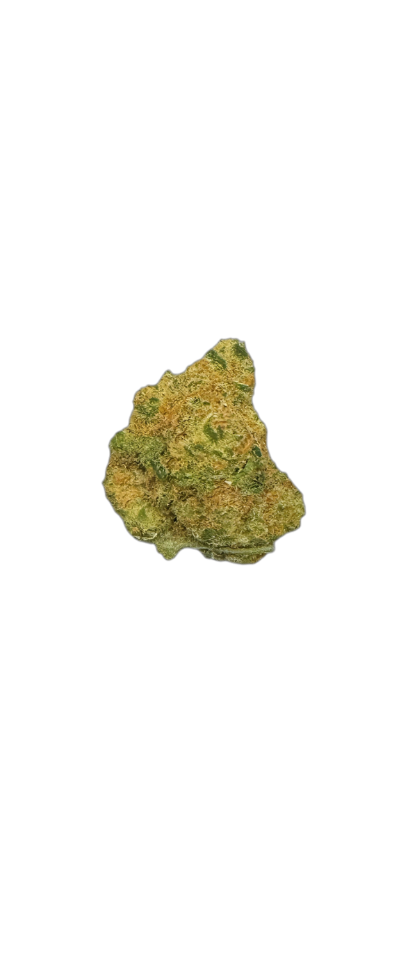 Avaay´s ZOIKS 26/1 GCK GG4 x Critical Kush