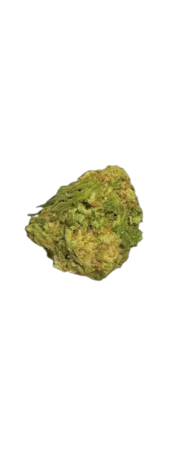 Mediprocan Lunaris 23/1 Lava Cake