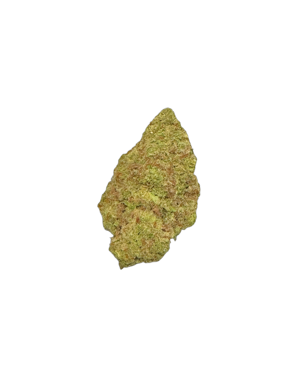 IMC LR THC27 Limonetti Rhino