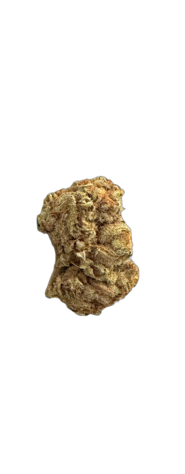 IMC DP THC 22 MIDS Deep Plum