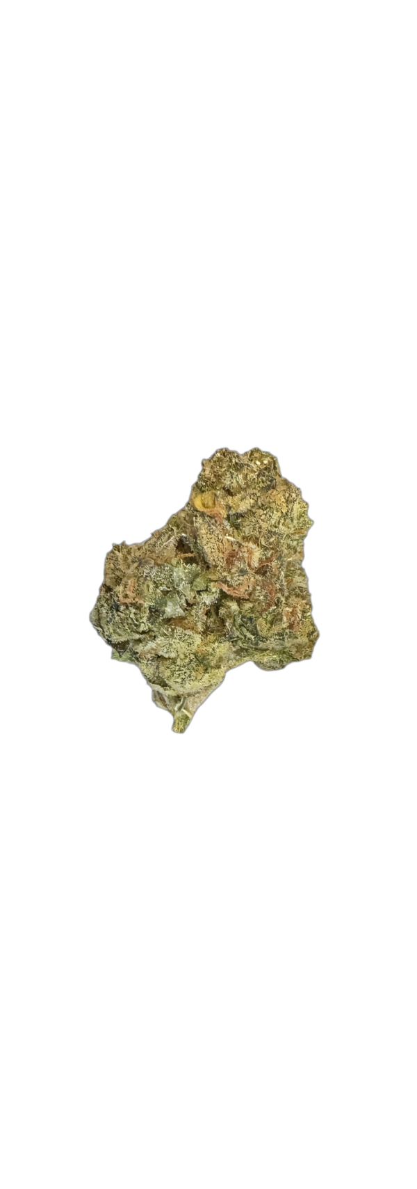 NICE 28/1 TRG GMO Tropical Gelato