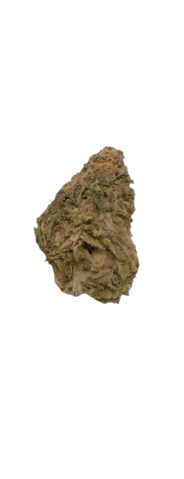 Wellford Aquaponic 26/1 COP Critical Orange Punch