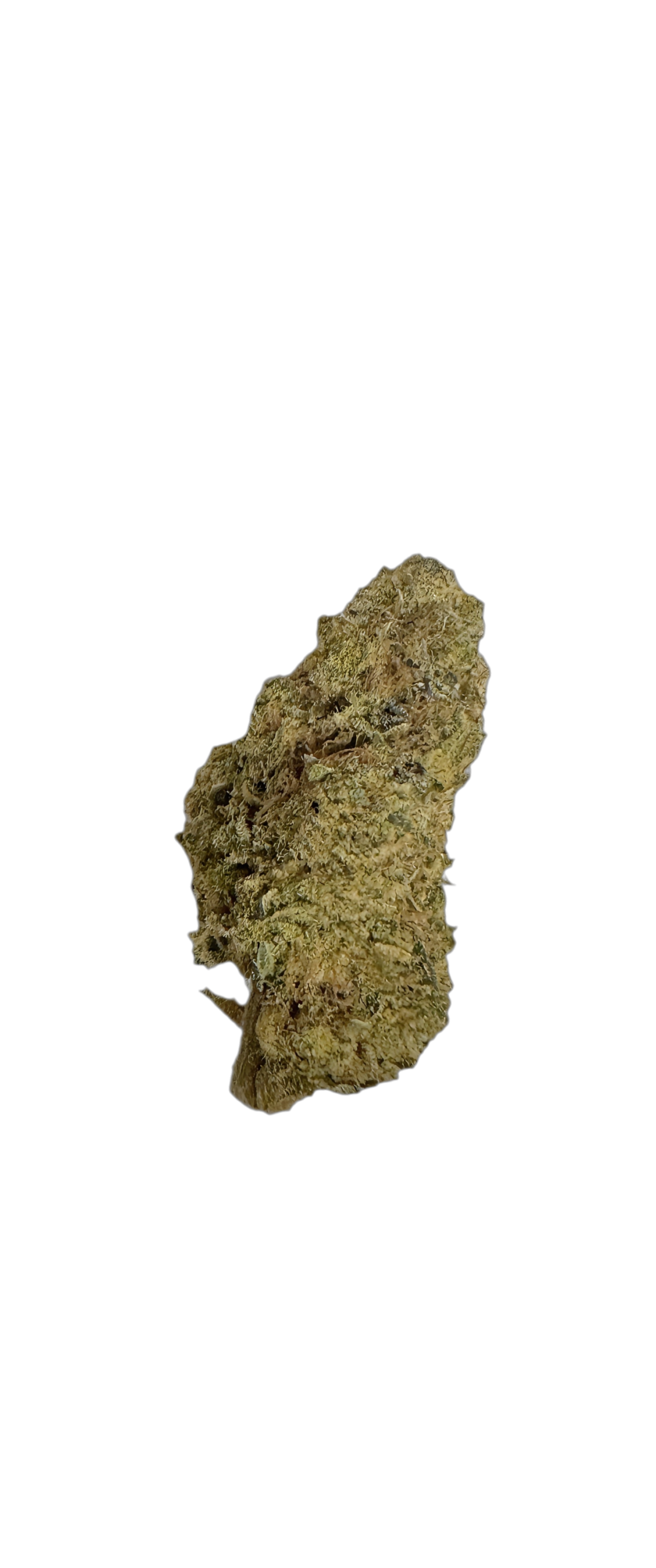 Wellford Aquaponic 26/1 QSG Queen SanG