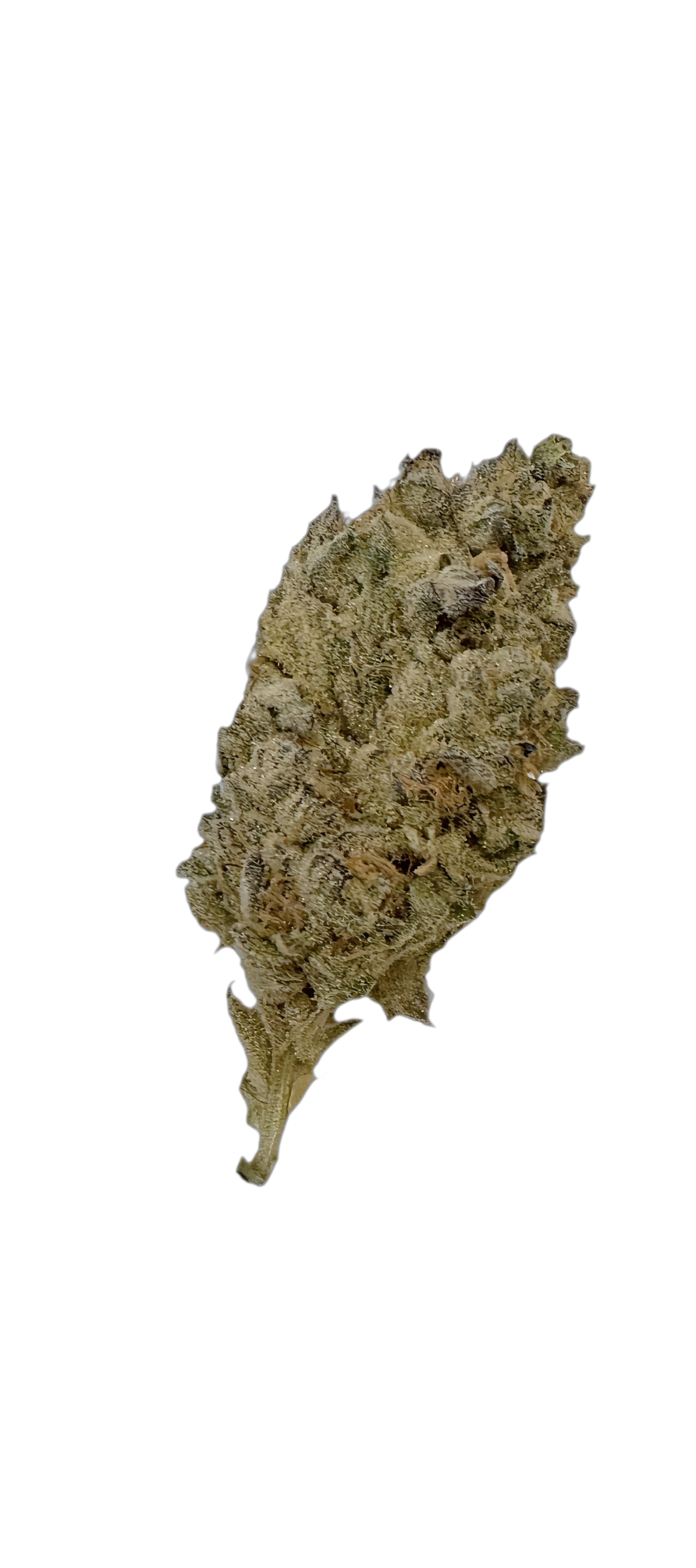 Demecan Craft Electron 31:01 - Gelato OG Kush