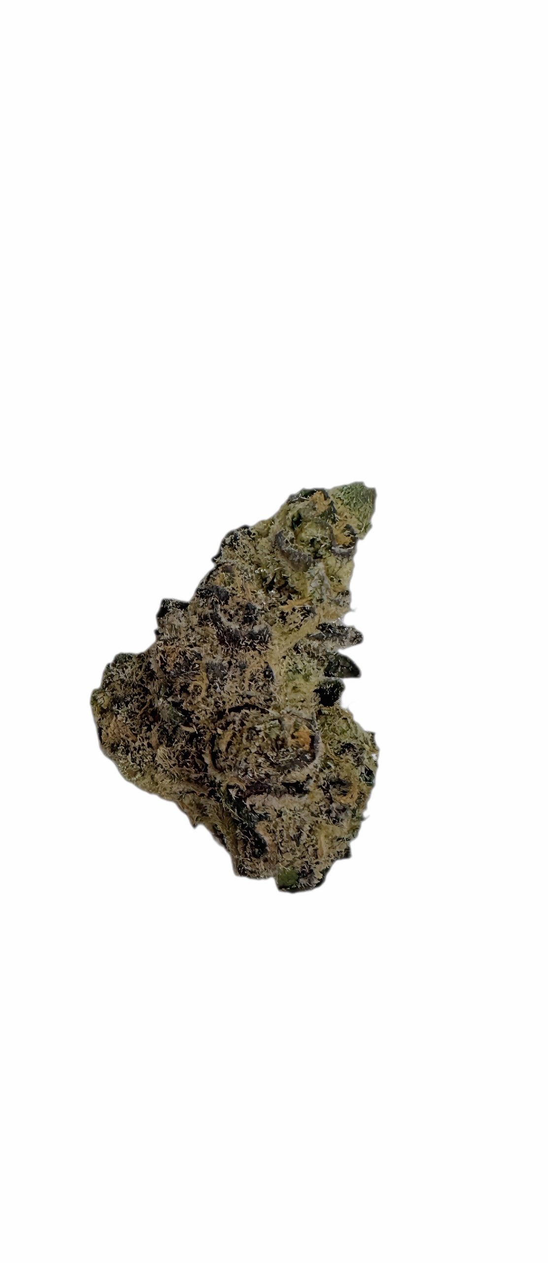 CzechOut 21/1 PUO (Purple Octane)