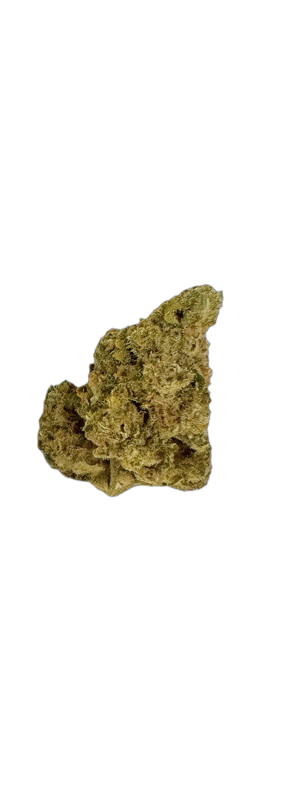 NEDCANN DSD 25/01 Original Blitz