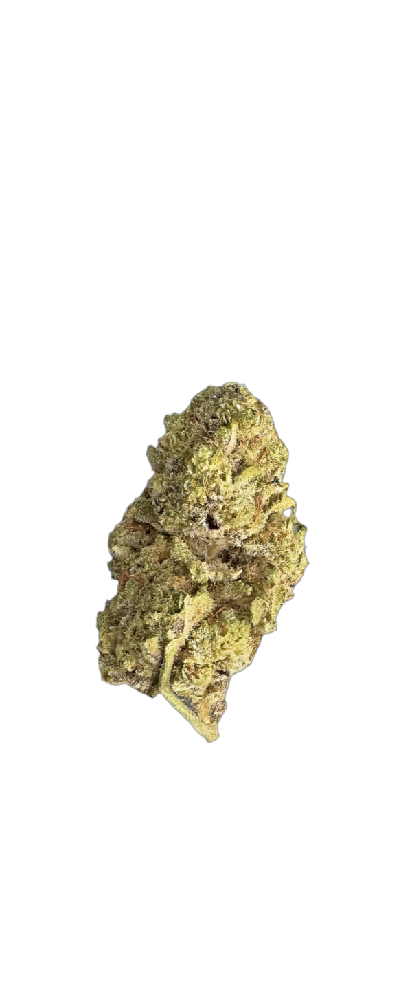 Medical Saints 18/1 MEB (Mendo Breath)