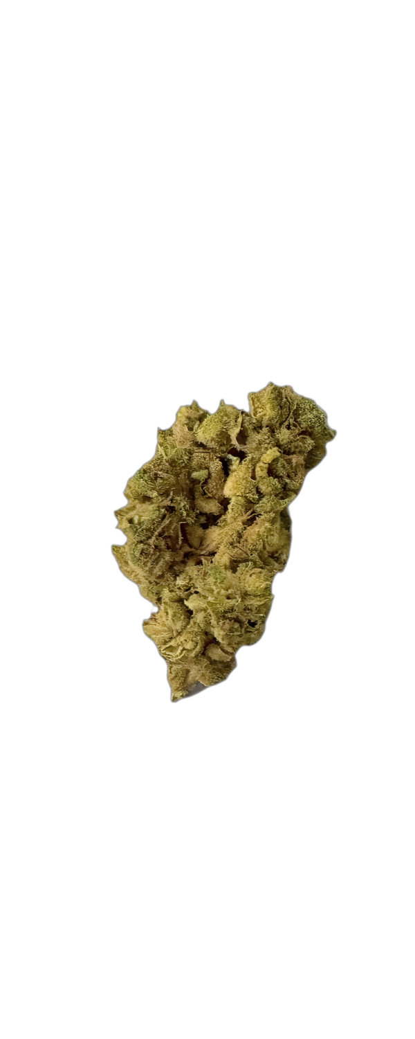 Remexian 24/1 ALL RMG Romulan Grapefruit