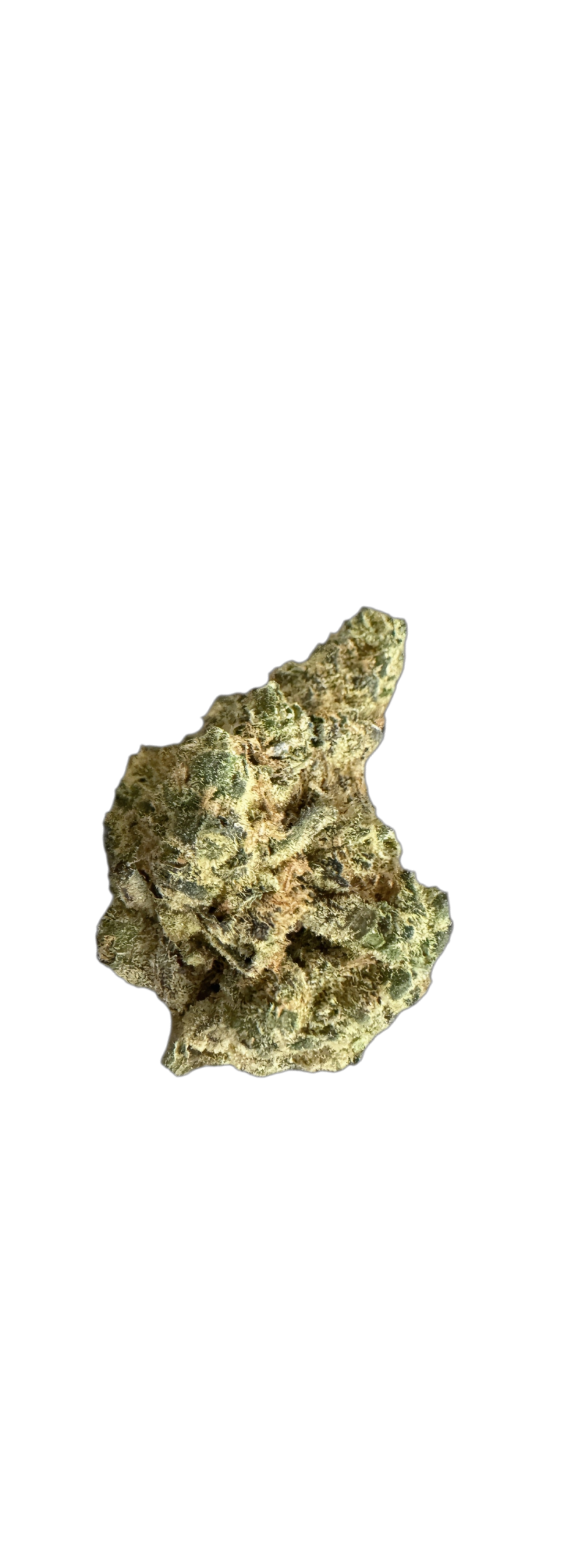 NICE 26/1 VC Vanilla Cake