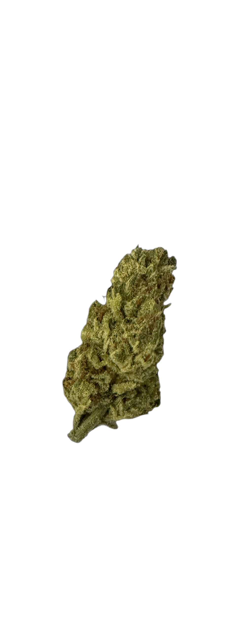 Luana 16/1 OG Watermelon