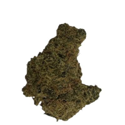 Organic Sweetgrass MCC 21/1 Mint Chocolate Chips