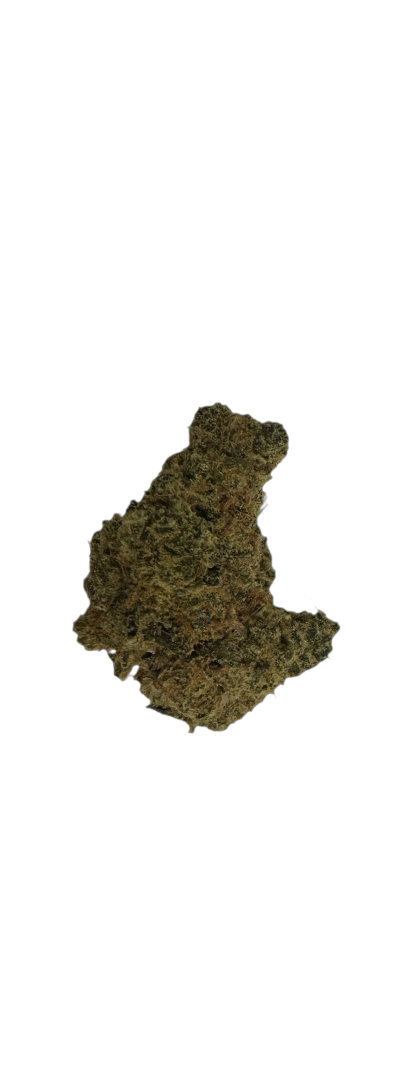 Organic Sweetgrass MCC 21/1 Mint Chocolate Chips