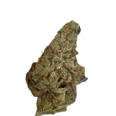 Demecan Craft Rocket 28:01 Pave x Gastro Pop