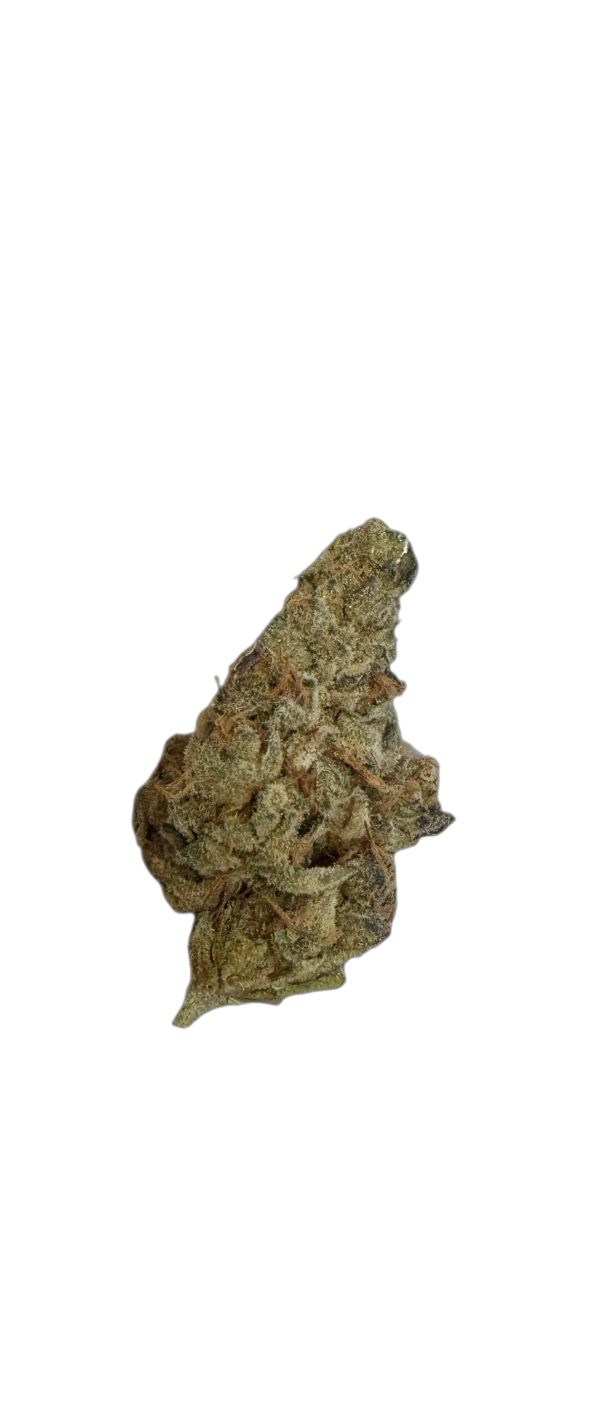 Demecan Craft Rocket 28:01 Pave x Gastro Pop