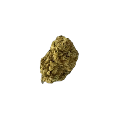 Wellford Aquaponic 26/1 GHT Ghost Train Haze