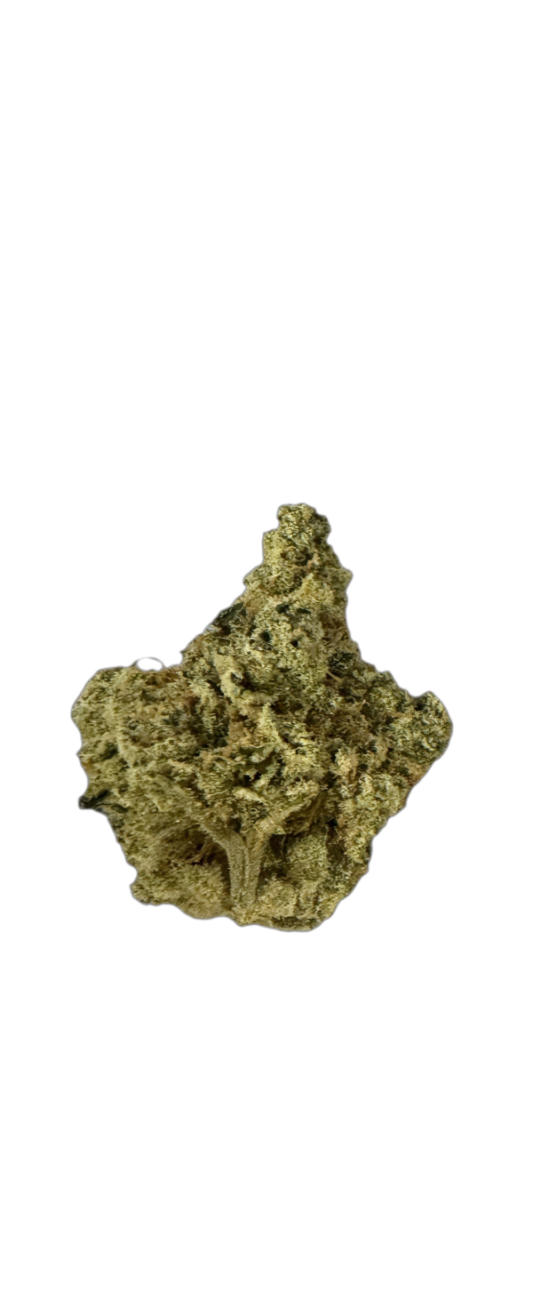 Drapalin 29/1 Cape Canaveral Girl Scout Cookies x Mandarin Sunset