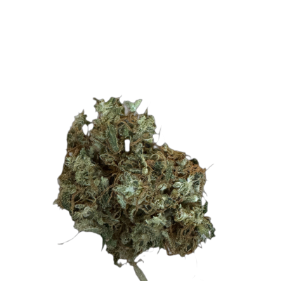 Bedrobinol Cannabis Flos 14/1 Ludina