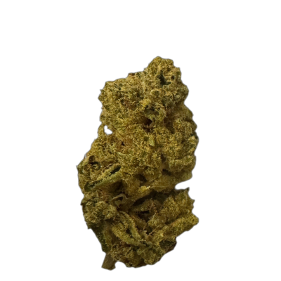 NICE 22/1 WCA Wedding Cake